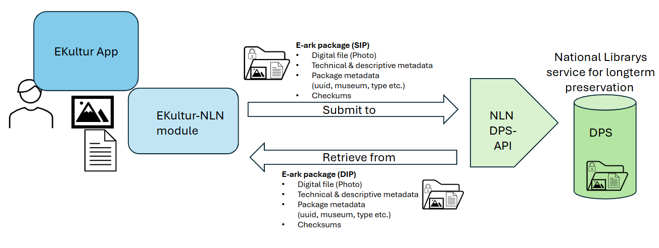 Draft for the preservation of museums` digital cultural heritage